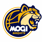 皮涅鲁斯